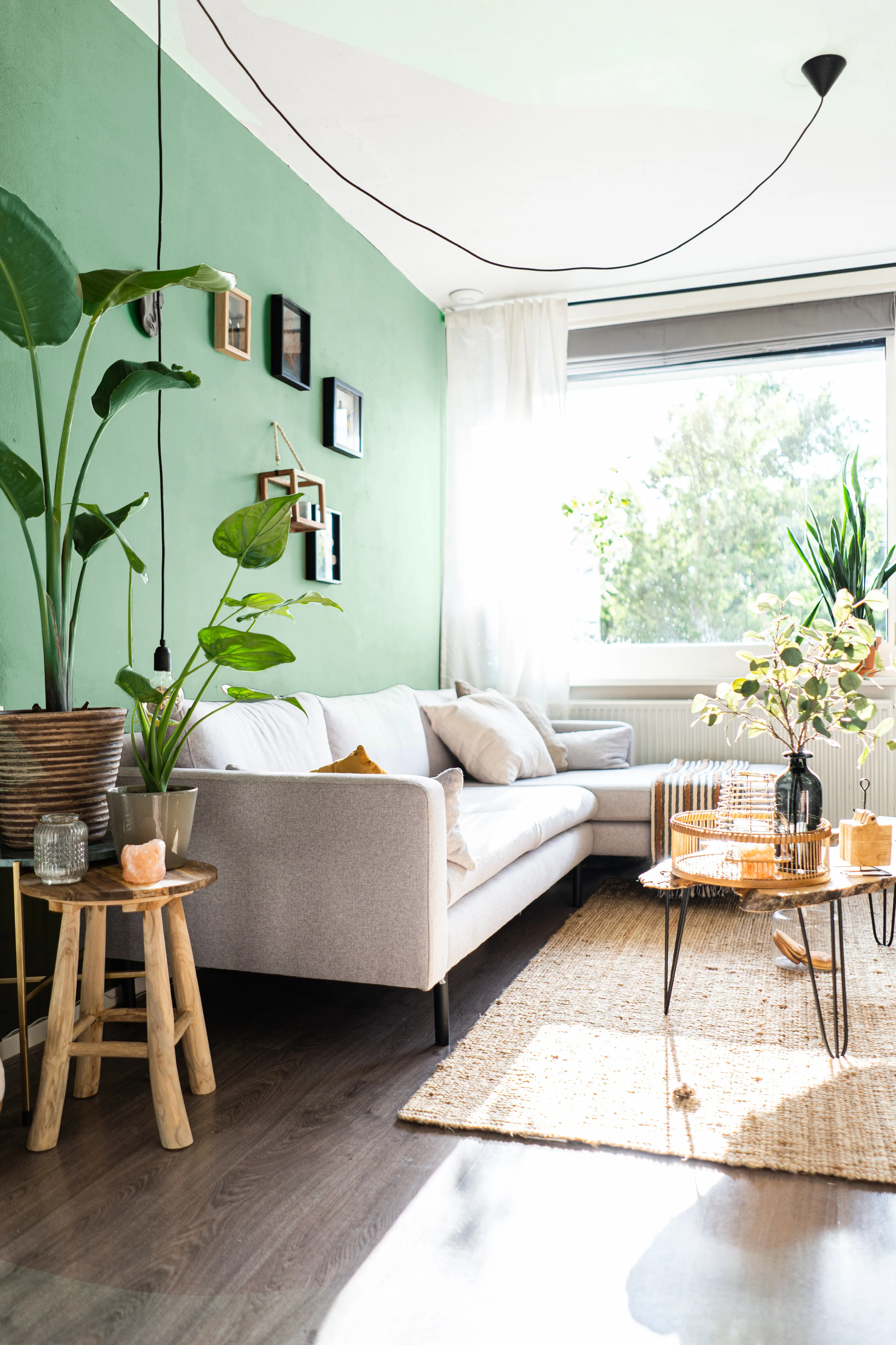 Calming Green eggshell paint