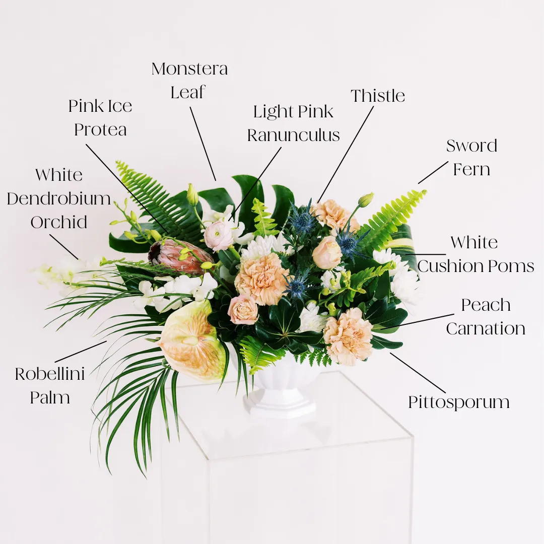 Sword Fern Greenery
